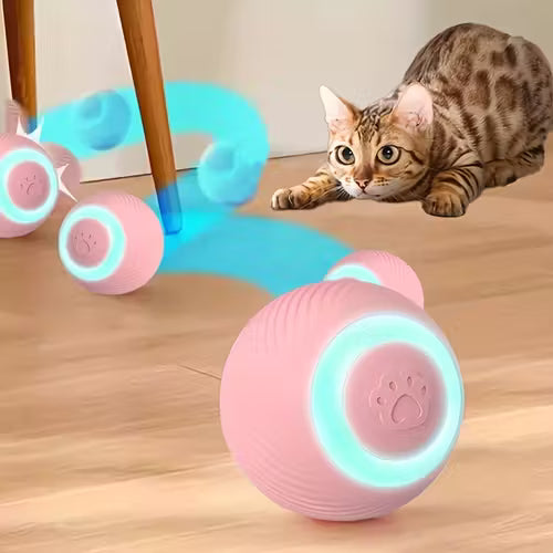 1 Self-Entertaining Cat Toy